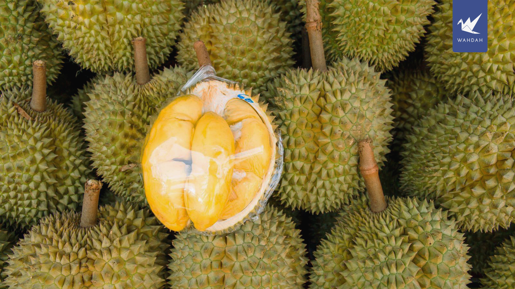 5 Places To Indulge in Delectable & Creamy Durians In Penang